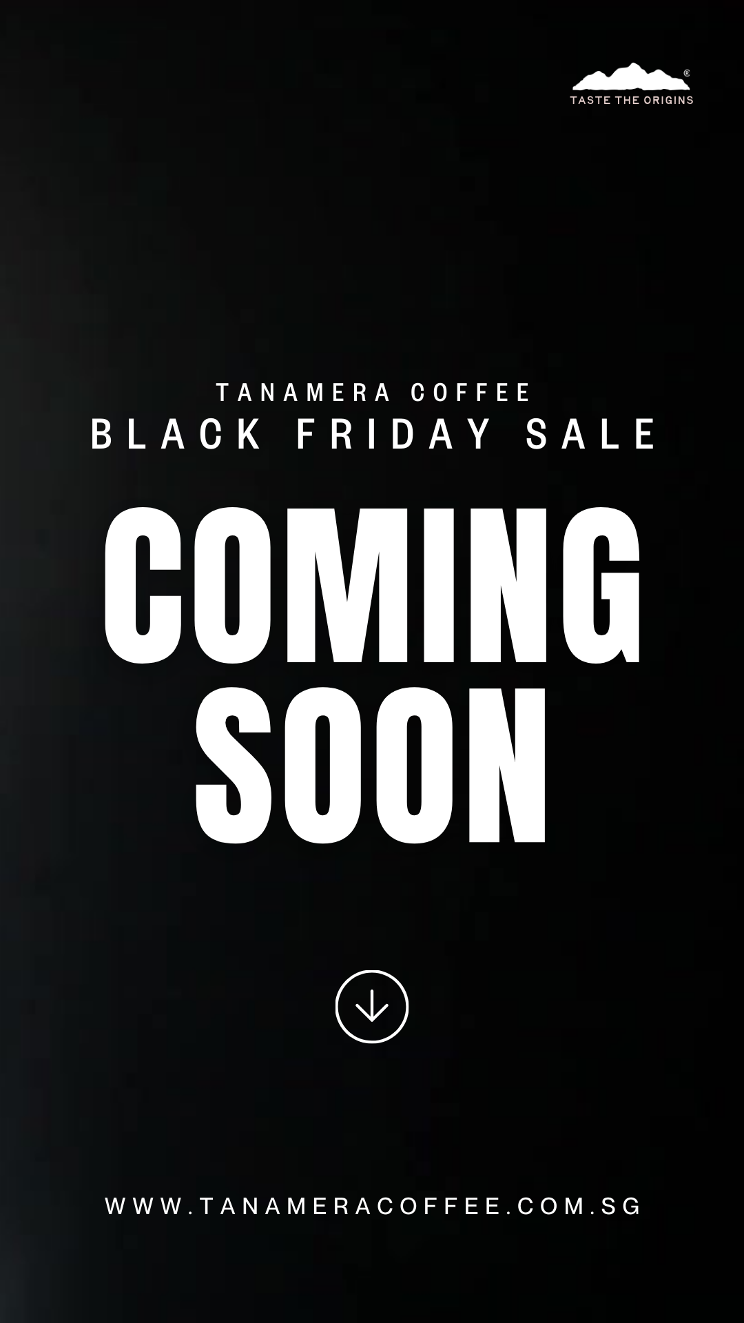 Black Friday Cyber Monday Sale