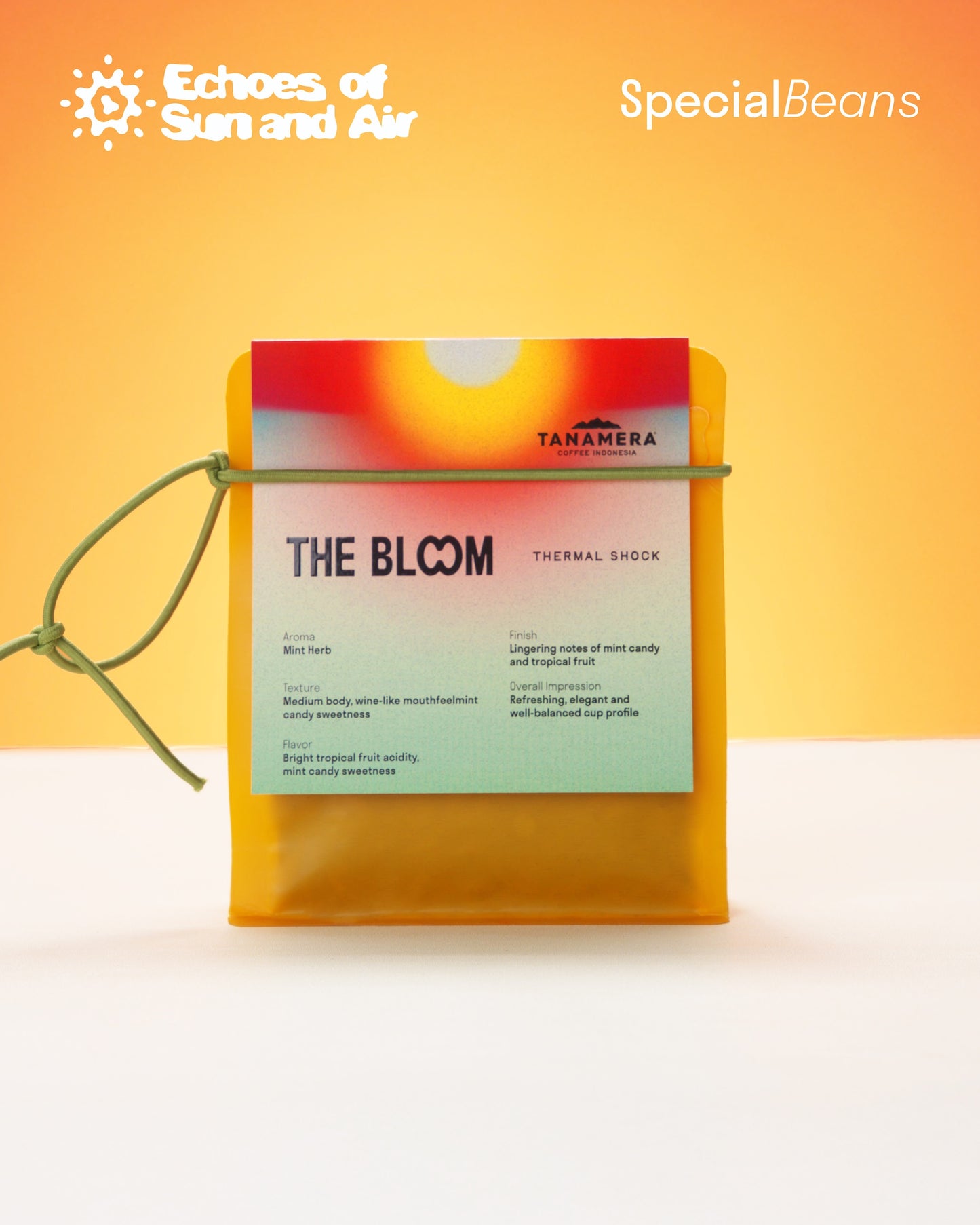 The Bloom – Thermal Shock | Vibrant Tropica