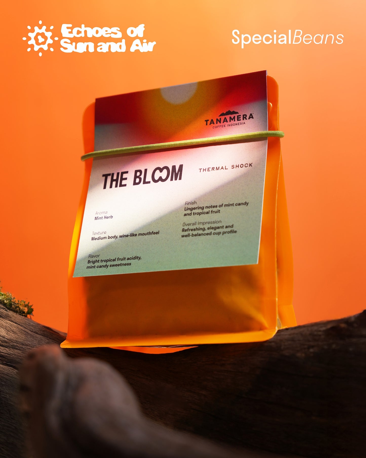 The Bloom – Thermal Shock | Vibrant Tropica