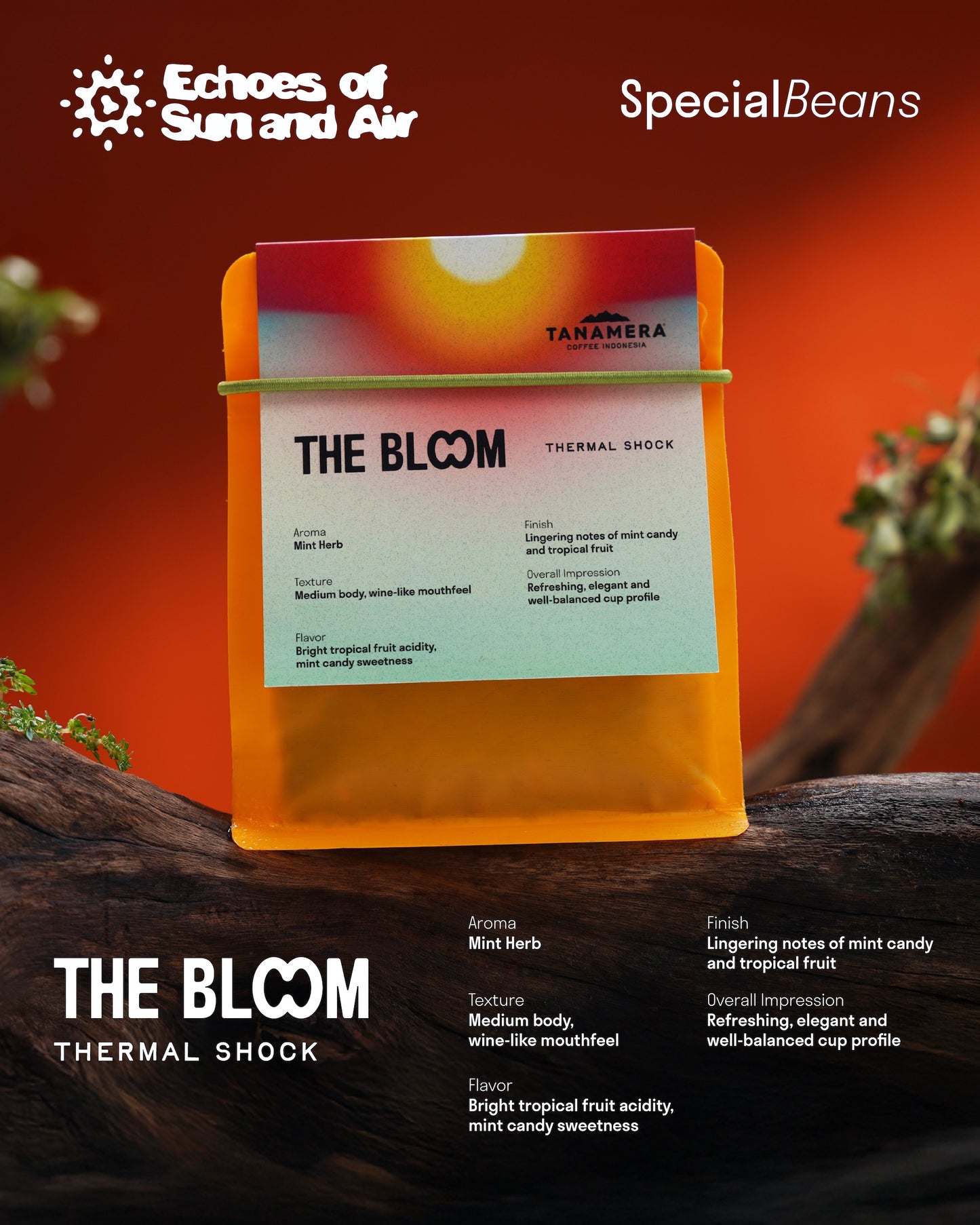 The Bloom – Thermal Shock | Vibrant Tropica