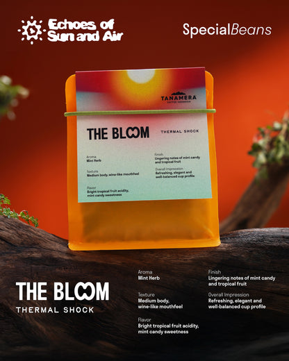 Bundle Package (The Bloom & The Breath) - RD: 24 Oct 2025