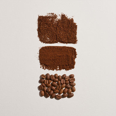 The Bloom – Thermal Shock | Vibrant Tropica