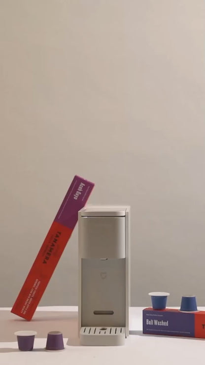 Aceh Gayo Capsule
